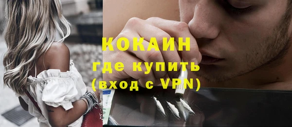 молекула духа Каменка