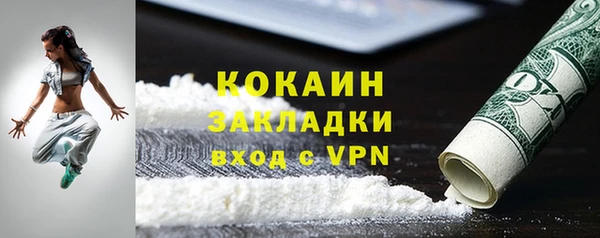 молекула духа Каменка