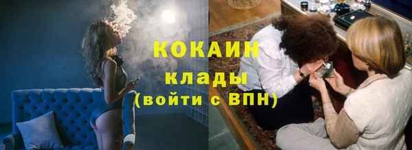 молекула духа Каменка