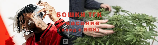 молекула духа Каменка