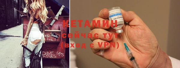 шишки Каменногорск