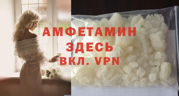молекула духа Каменка