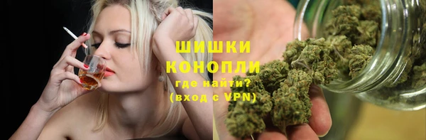 шишки Каменногорск