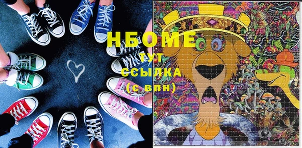 шишки Каменногорск
