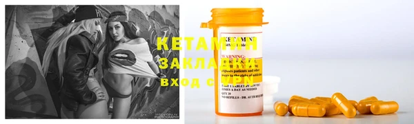 шишки Каменногорск