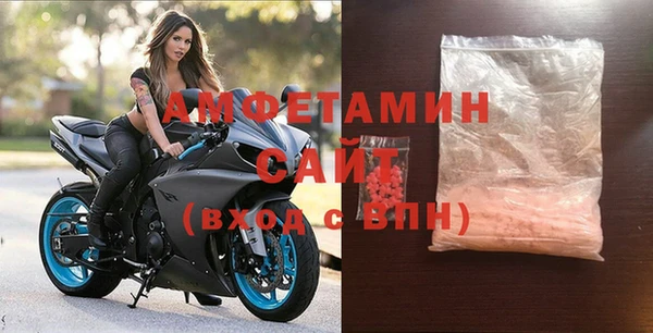 шишки Каменногорск