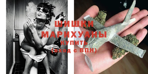 молекула духа Каменка