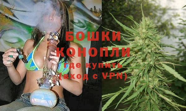 молекула духа Каменка