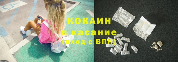 шишки Каменногорск