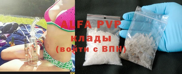 шишки Каменногорск