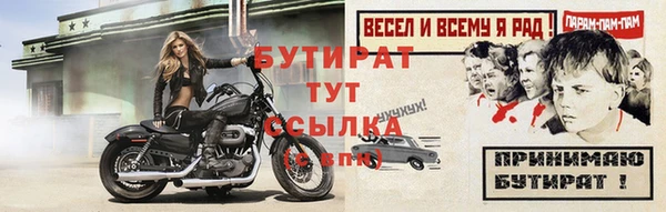 шишки Каменногорск