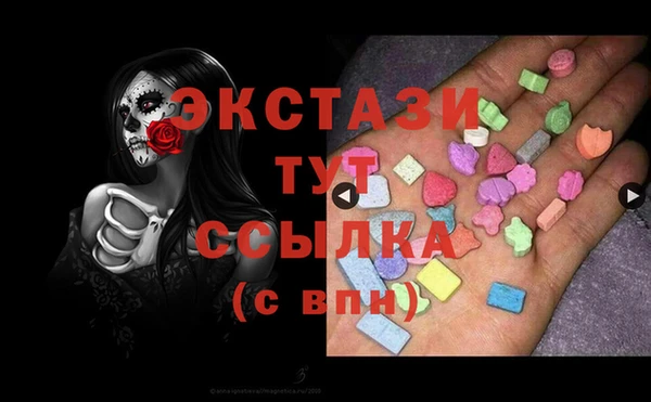 шишки Каменногорск