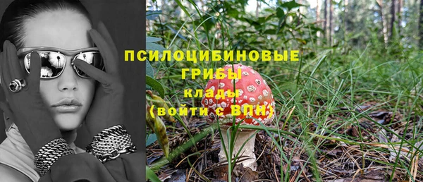 шишки Каменногорск