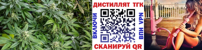 Купить закладки  Лермонтов  ТГК гашишное масло 